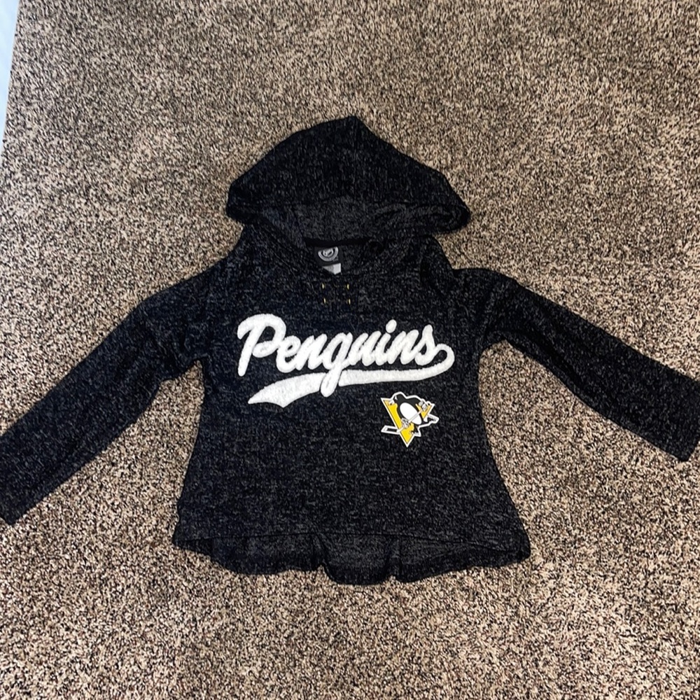 Never worn! NWOT- Pittsburgh Penguins Soft Hooded Sweatshirt